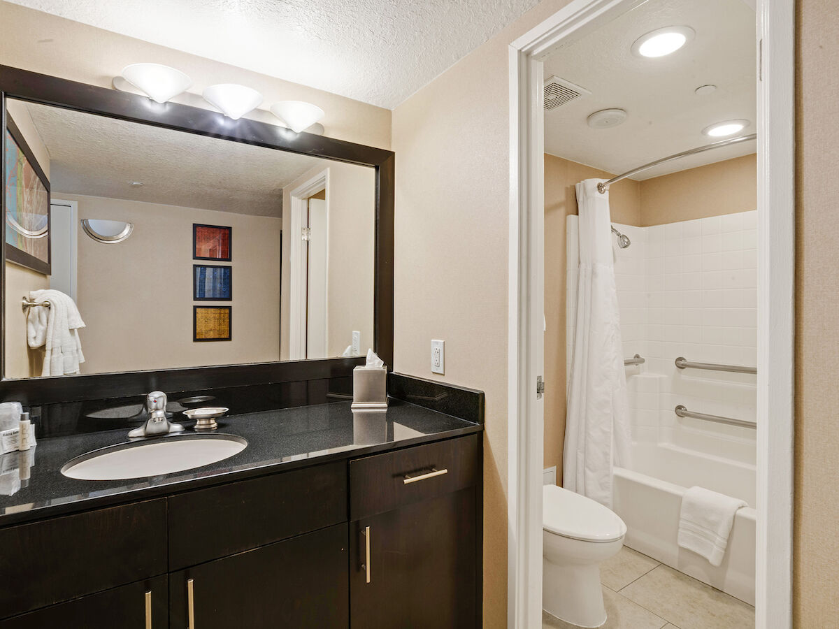 The image shows a modern bathroom with a large mirror, a sink with a black countertop, and a view of a toilet and bathtub with a shower curtain.