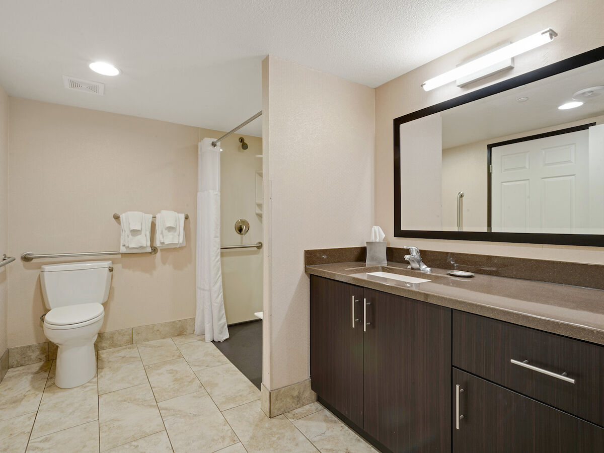 A spacious, modern bathroom with a toilet, a shower area with curtain, a large mirror, and a sink on a dark wood cabinet.
