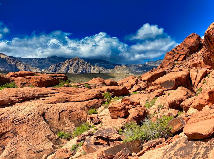 This image features a vibrant desert landscape with reddish rock formations, sparse vegetation, and a backdrop of mountains beneath a partly cloudy sky.