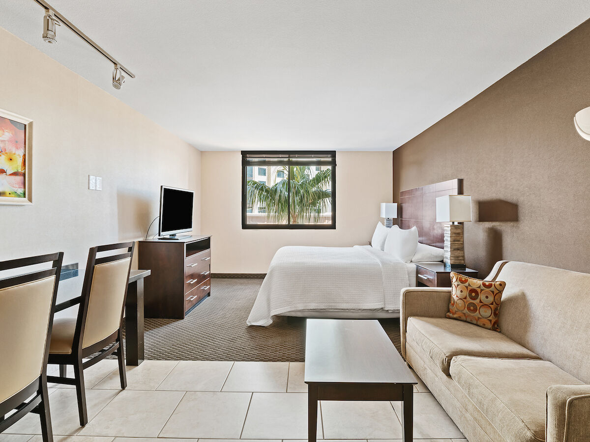 The image features a modern hotel room with a bed, sofa, TV, desk and chairs. It includes a window with a view of palm trees.
