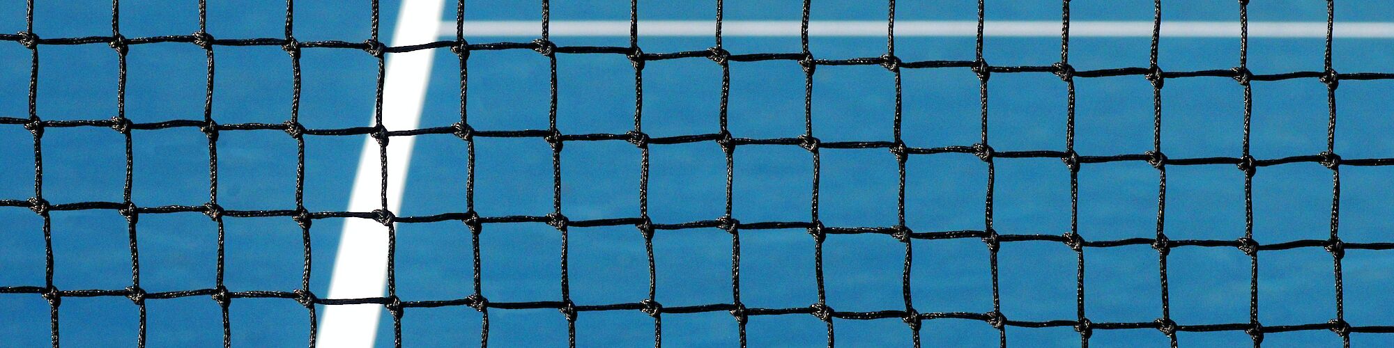 The image shows a blue tennis court with white lines, viewed through a black net. The top of the court is green, indicating the outfield.